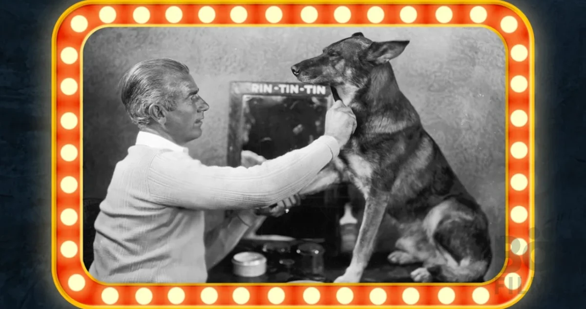 Hollywood animal actors