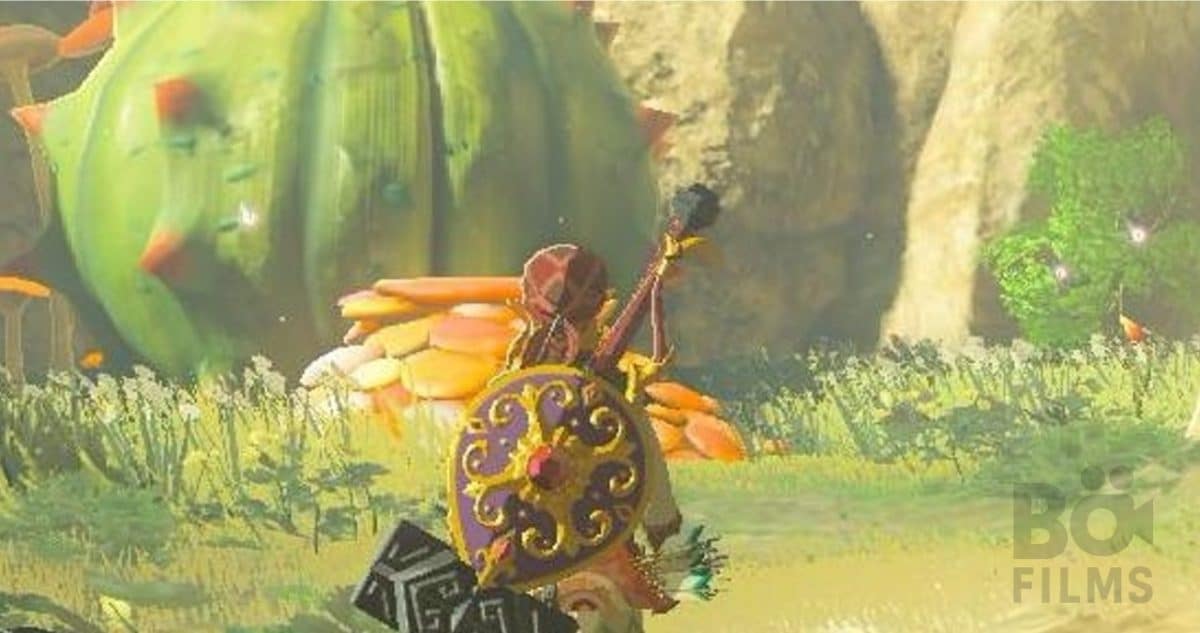 Link Zelda costumes tournage forêt -poster